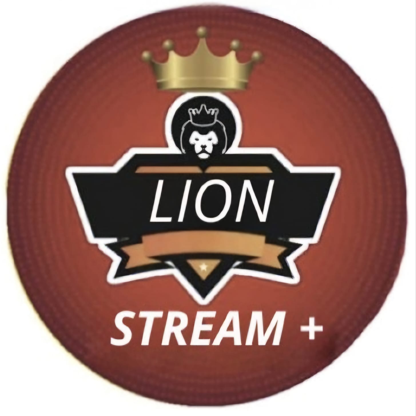 LION STREAM+